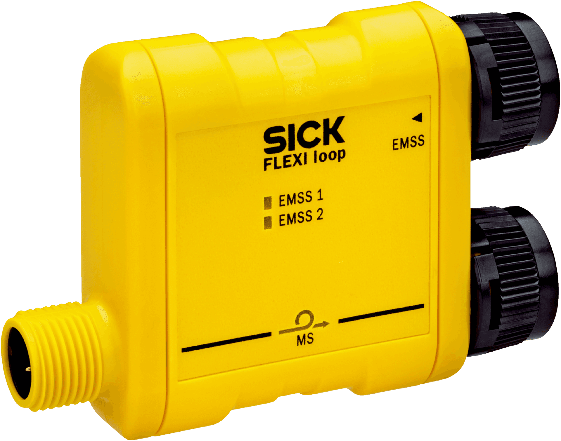 1061711 Sick - FLN-EMSS0000105