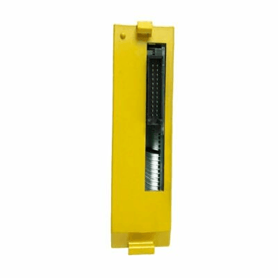 A03B-0819-C101 Fanuc