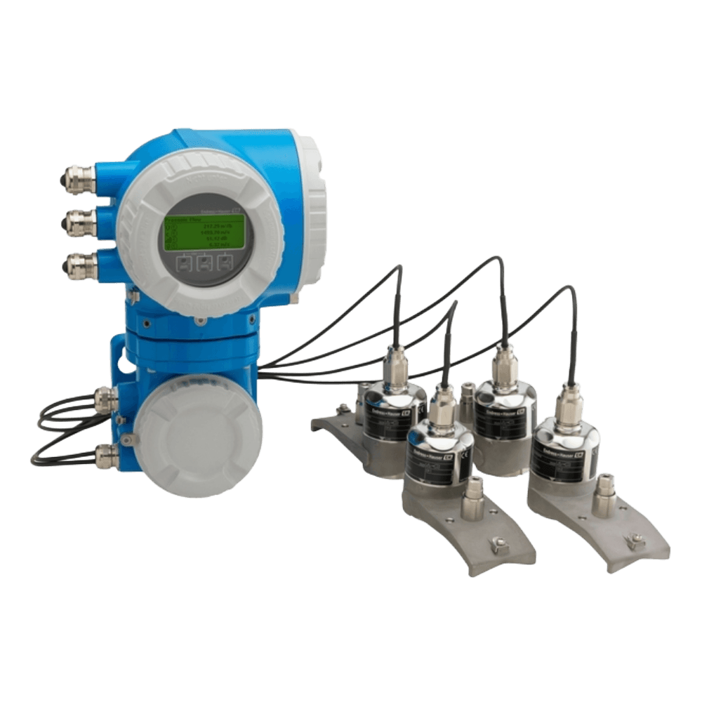 DK9WS-BA Endress + Hauser
