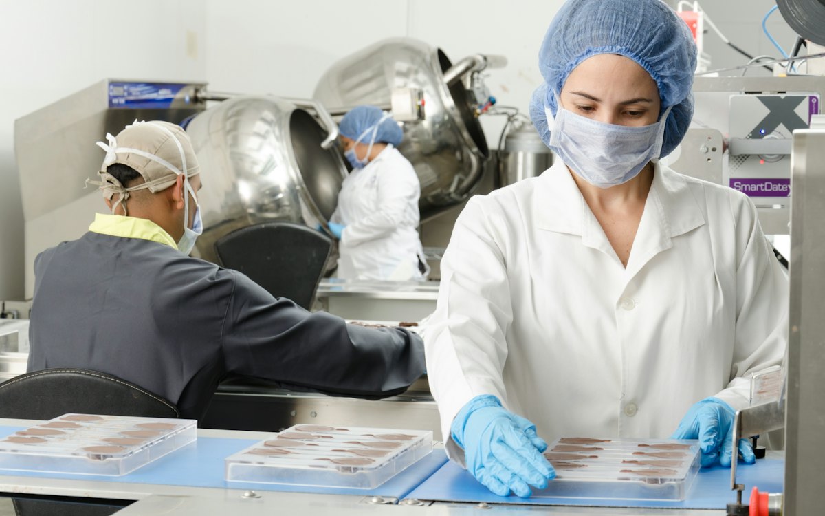 Food-processing workers in hygienic protective clothing