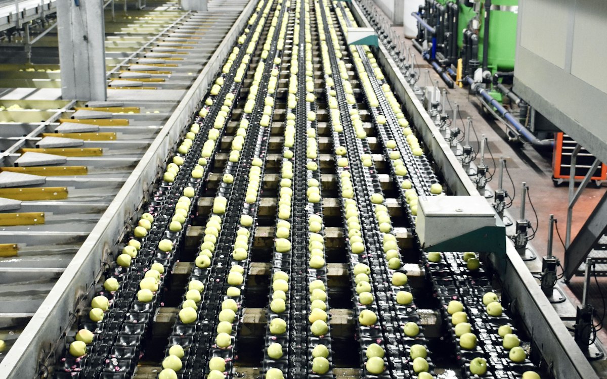 Bottles moving along a high-speed bottling line